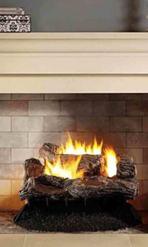 vented-logs-cat-photo